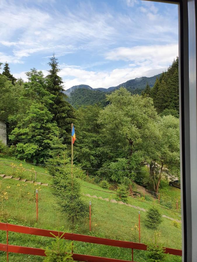 Villa Casa Dor de Ea Dîmbovicioara Exterior foto